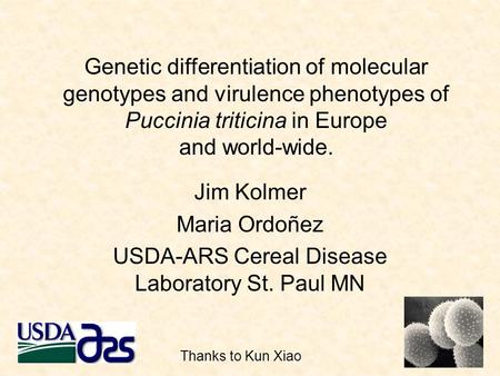 Jim Kolmer Maria Ordoñez USDA-ARS Cereal Disease Laboratory St. Paul MN Genetic differentiation of molecular genotypes and virulence phenotypes of Puccinia.