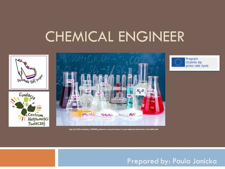 CHEMICAL ENGINEER Prepared by: Paula Janicka