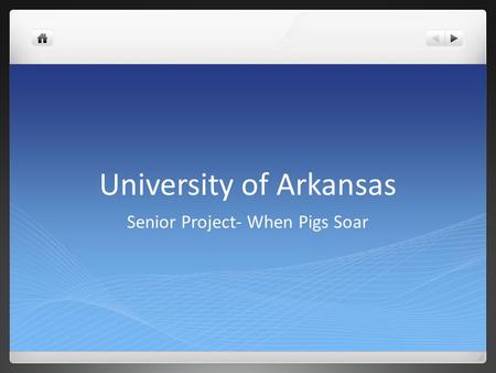 University of Arkansas Senior Project- When Pigs Soar.