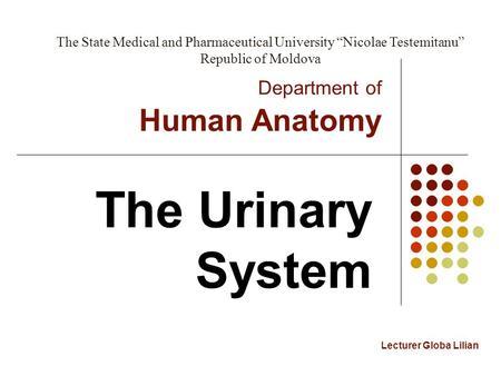 Department of Human Anatomy