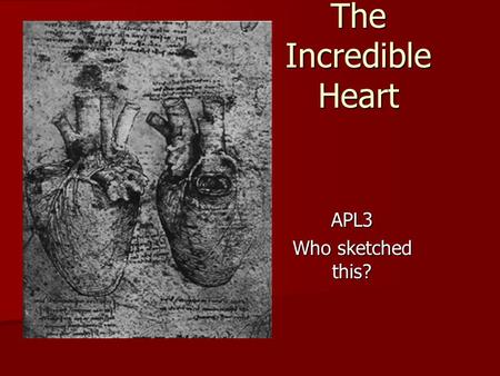 The Incredible Heart APL3 Who sketched this?. Blood supply to the Heart Supplied to the heart muscle (myocardium) by the coronary arteries Supplied to.