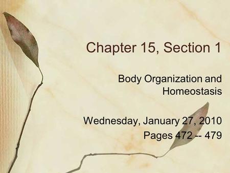 Chapter 15, Section 1 Body Organization and Homeostasis