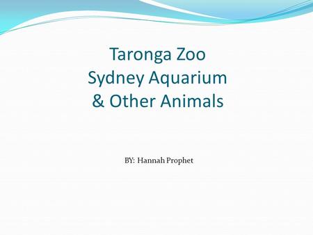 Taronga Zoo Sydney Aquarium & Other Animals BY: Hannah Prophet.