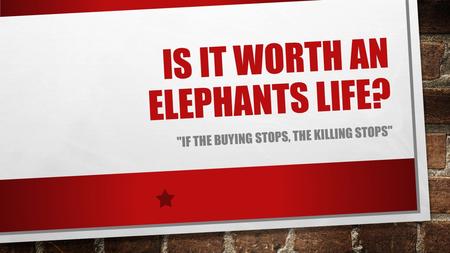 IS IT WORTH AN ELEPHANTS LIFE? IF THE BUYING STOPS, THE KILLING STOPS