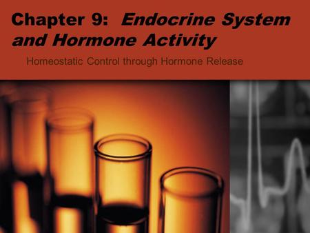 Chapter 9: Endocrine System and Hormone Activity Homeostatic Control through Hormone Release.
