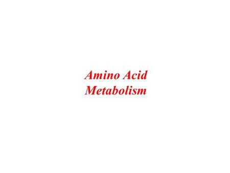 Amino Acid Metabolism. Intestinalsynthesize apoproteins (for lipoproteins) Epithelia:synthesize digestive enzymes glutamine degradation is a primary source.