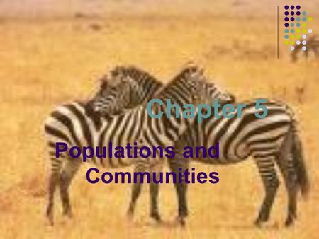 Chapter 5 Populations and Communities. 5-1: Populations  Why is it important to study populations?  What is the difference between exponential growth.