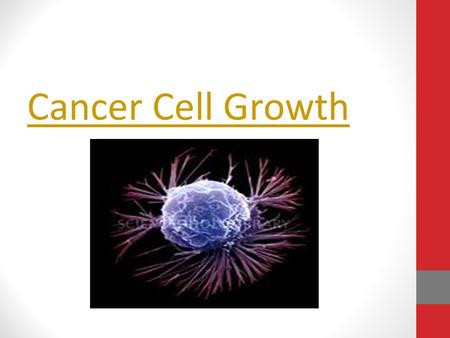 Cancer Cell Growth. Chemotherapy Video HeLa Cells “ The Immortal Cell Line”