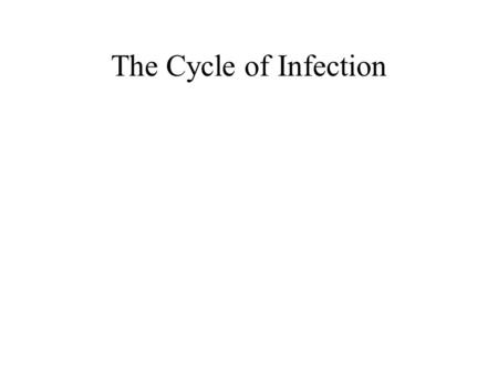 The Cycle of Infection. Infection and Disease Classifications 4 types- 1.Endogenous- it originates w/in 2.Exogenous- it originates outside the body 3.Nosocomial-