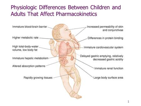 Fig. 38-1, p. 993 Physiologic Differences Between Children and Adults That Affect Pharmacokinetics 1.