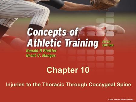 Injuries to the Thoracic Through Coccygeal Spine