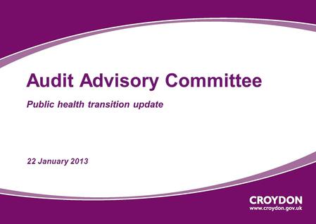 Audit Advisory Committee Public health transition update 22 January 2013.