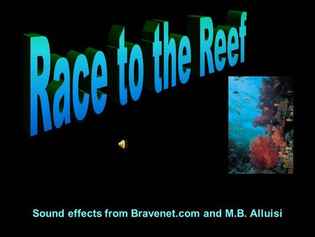 Sound effects from Bravenet.com and M.B. Alluisi.