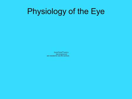 Physiology of the Eye. 1. Refraction The bending of light as it travels from less dense medium into a more dense medium.