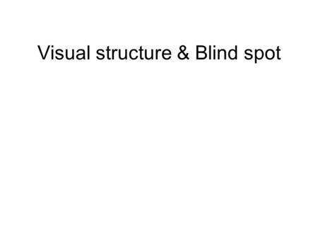 Visual structure & Blind spot. Question 1 What do these devices have in common?