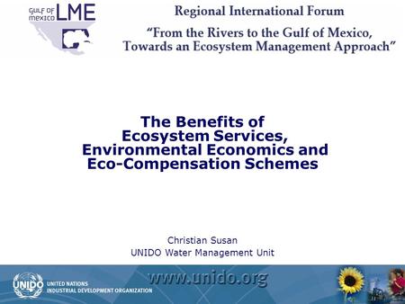 The Benefits of Ecosystem Services, Environmental Economics and Eco-Compensation Schemes Christian Susan UNIDO Water Management Unit.