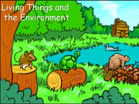 Living Things and the Environment. Key Words Habitat Biotic Factors Abiotic Factors Populations Species Community Single Organism Ecology.