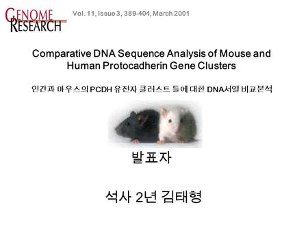 발표자 석사 2 년 김태형 Vol. 11, Issue 3, 389-404, March 2001 Comparative DNA Sequence Analysis of Mouse and Human Protocadherin Gene Clusters 인간과 마우스의 PCDH 유전자.