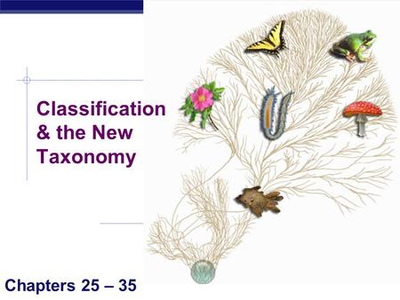 AP Biology Classification & the New Taxonomy Chapters 25 – 35.