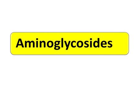 Aminoglycosides All aminoglycosides are produced by soil actinomycetes. Obtained from the species of – Streptomyces (suffix mycin) – and Micromonospora.