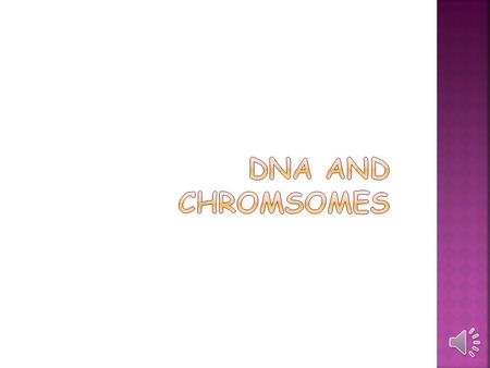  Chromosomes are coiled up “packages” of DNA.