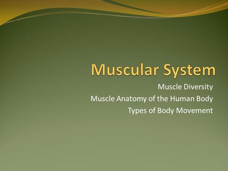 Muscle Diversity Muscle Anatomy of the Human Body Types of Body Movement.