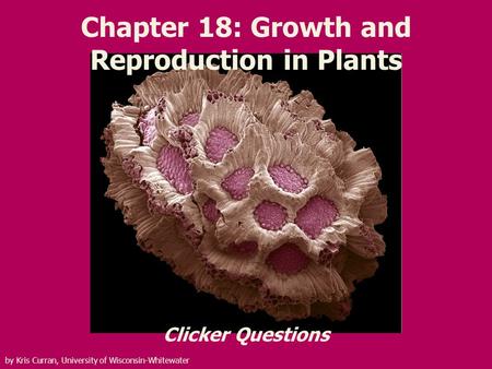 Chapter 18: Growth and Reproduction in Plants Clicker Questions by Kris Curran, University of Wisconsin-Whitewater.