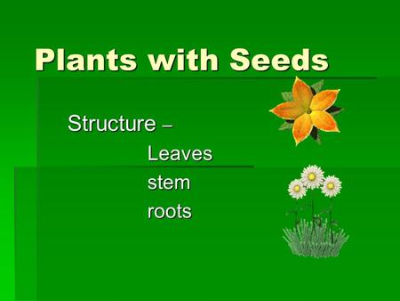 Plants with Seeds Structure – Leaves stem stem roots roots.