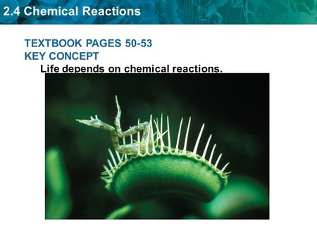 2.4 Chemical Reactions TEXTBOOK PAGES 50-53 KEY CONCEPT Life depends on chemical reactions.