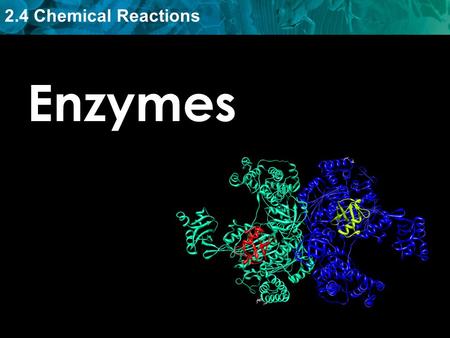 Enzymes.