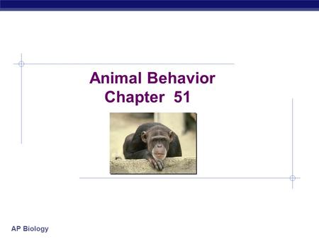 Animal Behavior Chapter 51.