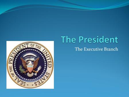 The President The Executive Branch.