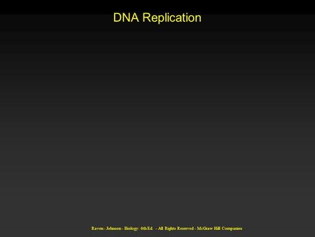 Raven - Johnson - Biology: 6th Ed. - All Rights Reserved - McGraw Hill Companies DNA Replication.