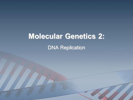 Molecular Genetics 2: DNA Replication WHAT IS DNA REPLICATION? The process of making two identical DNA molecules from an original, parental DNA molecule.
