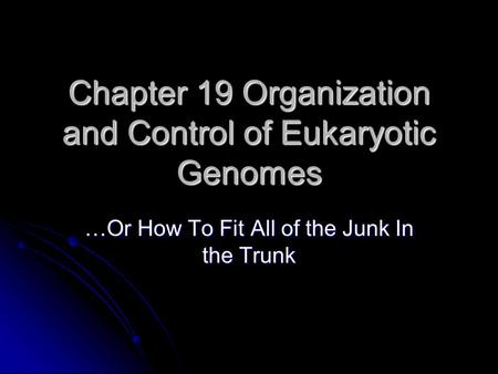 Chapter 19 Organization and Control of Eukaryotic Genomes …Or How To Fit All of the Junk In the Trunk.