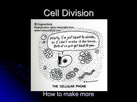 Cell Division How to make more. What we are going to investigate. A review of the structure of the chromosome A review of the structure of the chromosome.