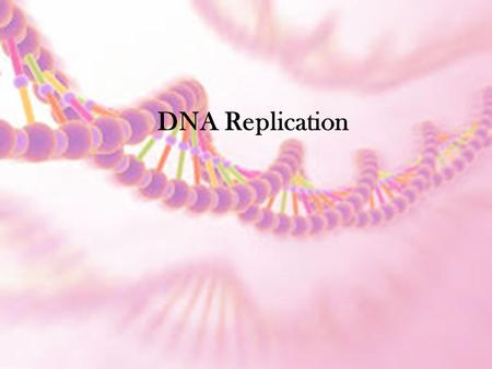 DNA Replication. Processing of Genetic Material What is DNA Replication The process by which the DNA within a cell makes exact copies of itself Balance.
