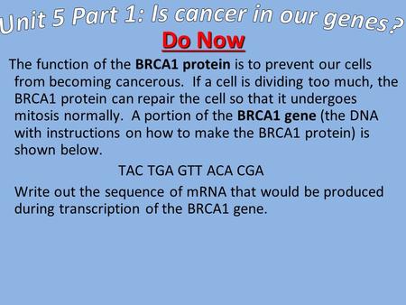 Do Now The function of the BRCA1 protein is to prevent our cells from becoming cancerous. If a cell is dividing too much, the BRCA1 protein can repair.