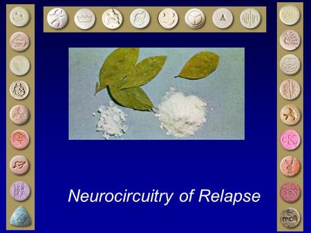 Neurocircuitry of Relapse. Circuitry Mediating Motivated Behavior VTA dopamine Basal Ganglia Anterior Cingulate Ventral Orbital Amygdala Hippocampus Opioids.