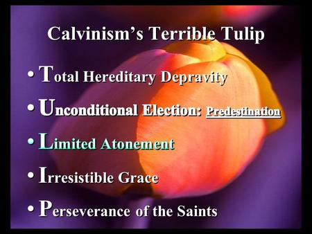 Calvinism’s Terrible Tulip. Did Christ offer up Himself a sacrifice for the whole human race, for every individual without distinction or exception;
