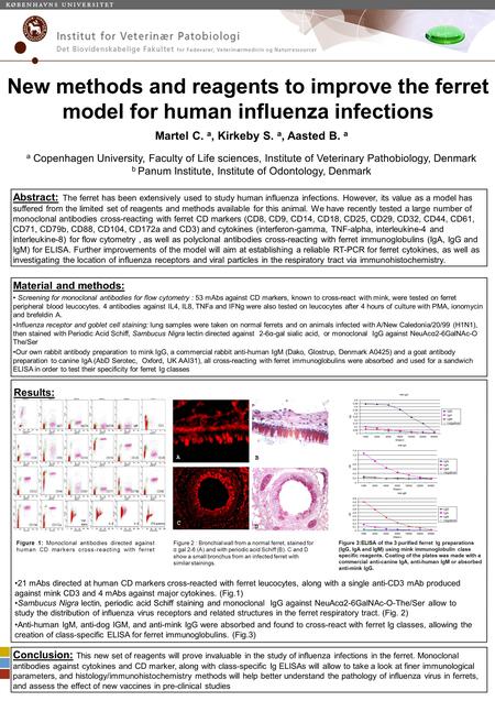 New methods and reagents to improve the ferret model for human influenza infections Martel C. a, Kirkeby S. a, Aasted B. a a Copenhagen University, Faculty.