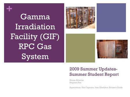 + 2009 Summer Updates- Summer Student Report Emine Altuntas Stephen Fee Supervisors: Mar Capeans, Ivan Glushkov, Roberto Guida Gamma Irradiation Facility.