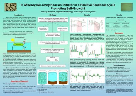 PH DO DIP TDP Bethany Remeniuk, Department of Biology, York College of Pennsylvania Is Microcystis aeruginosa an Initiator in a Positive Feedback Cycle.