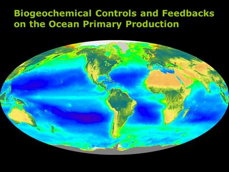 Biogeochemical Controls and Feedbacks on the Ocean Primary Production.