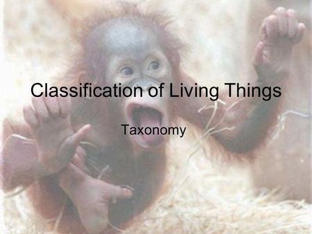Classification of Living Things Taxonomy. Definition: –The branch of biology that deals with the classification and naming of living things.