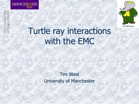 Turtle ray interactions with the EMC Tim West University of Manchester.