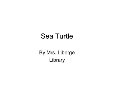 Sea Turtle By Mrs. Liberge Library. WHERE MY ANIMAL LIVES Sea turtles are reptiles that live in the ocean worldwide.