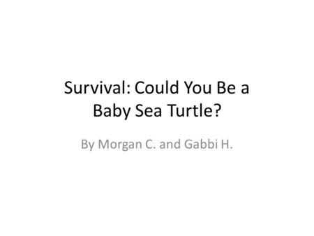Survival: Could You Be a Baby Sea Turtle? By Morgan C. and Gabbi H.