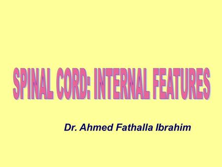 Dr. Ahmed Fathalla Ibrahim. TRANSVERSE SECTION ( T1-L3 )