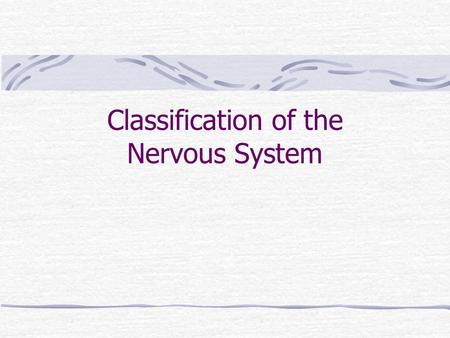 Classification of the Nervous System